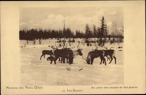 Ak Les Rennes, Missions des Pères Oblats, Neiges, Glaces, Rentiere