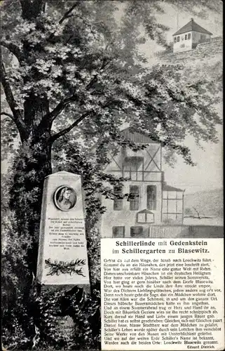 Ak Dresden Ost Blasewitz, Schillerlinde mit Gedenkstein im Schillergarten