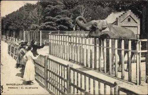 Ak Barcelona Katalonien, Park, Der Elefant