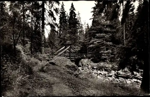 Ak Lichtenberg in Oberfranken, Teufelssteg, Höllental, Frankenwald