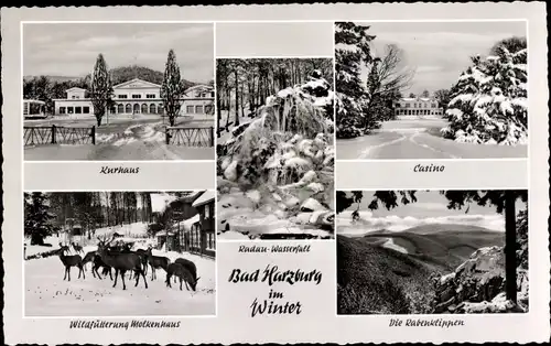 Ak Bad Harzburg am Harz, Wildfütterung, Kurhaus, Casino, Radau Wasserfall, Winter
