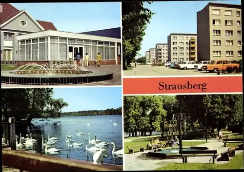 Ak Strausberg in der Mark, Haus der NVA Klub am See, Schwimmhalle, Artur-Becker-Straße, Straus-See