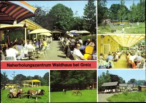 Ak Greiz im Vogtland, Naherholungszentrum Waldhaus, Spielplatz, Ponykutsche, Veranda