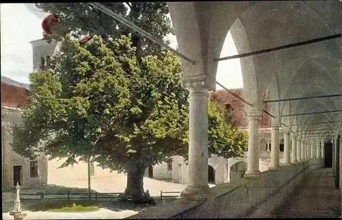 Ak Millstatt am See Kärnten, Klostergang