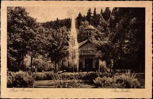 Ak Duszniki Zdrój Bad Reinerz Schlesien, Laue Quelle, Fontäne