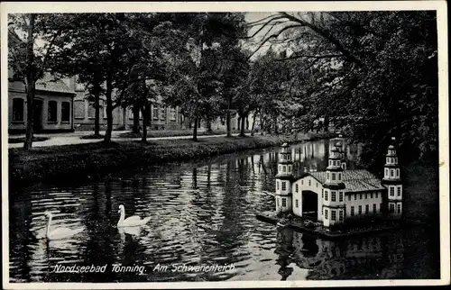 Ak Tönning an der Eider Nordfriesland, Schwanenteich