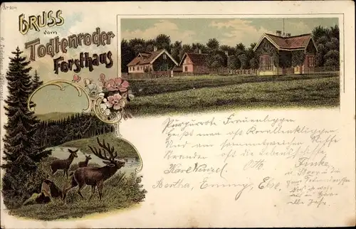 Litho Altenbrak Thale Harz, Blick auf das Todtenroder Forsthaus, Hirsche
