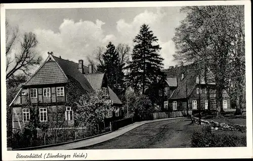 Ak Bienenbüttel in der Lüneburger Heide, Straßenpartie, Häuser mit Gärten