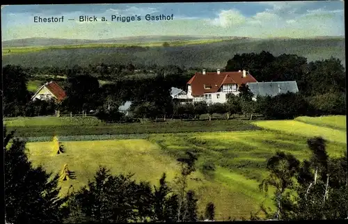 Ak Ehestorf Rosengarten in Niedersachsen, Blick auf Prigge's Gasthof