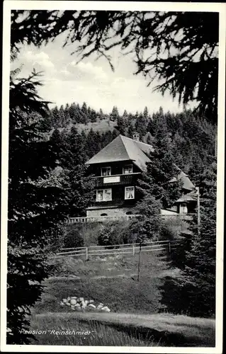 Ak Blasiwald Schluchsee im Schwarzwald, Pension Reinschmidt