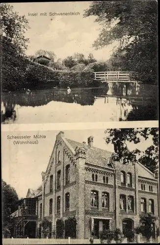 Ak Scheeßel in Niedersachsen, Insel mit Schwanenteich, Scheeßeler Mühle, Wohnhaus