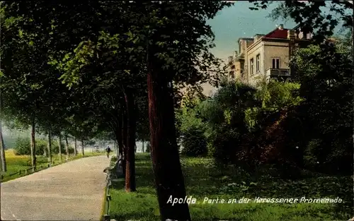 Ak Apolda im Weimarer Land Thüringen, Partie an der Heressener Promenade