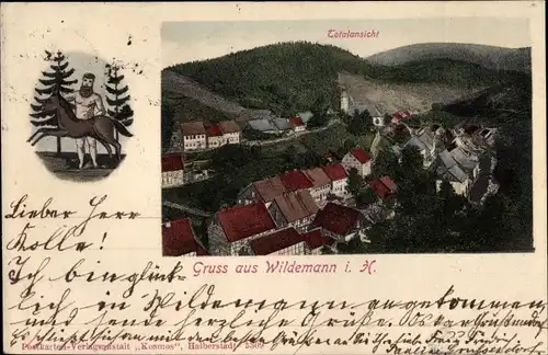Ak Wildemann Clausthal Zellerfeld im Oberharz, Totalansicht der Ortschaft