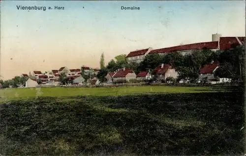 Ak Vienenburg Goslar am Harz, Domaine, Blick auf den Ort