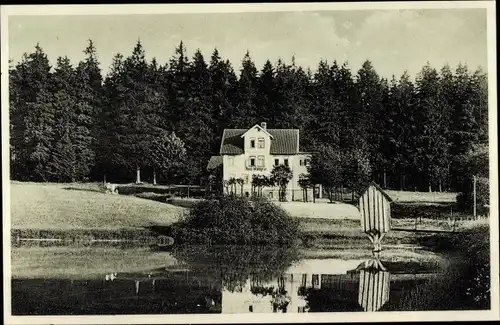 Ak Hahnenklee Bockswiese Goslar im Harz, Villa Waldgrün