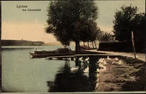 Ak Lychen in der Uckermark, Am Oberpfuhl, Boot, Uferblick, Schwäne