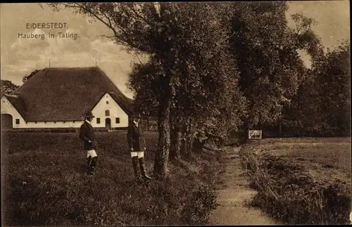 Ak Tating in Nordfriesland, Eiderstedter Land, Hauberg