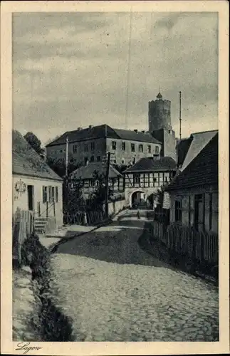 Ak Łagów Powiat Świebodziński Lagow Neumark Ostbrandenburg, Strassenansicht