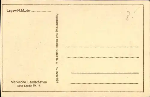 Ak Łagów Powiat Świebodziński Lagow Neumark Ostbrandenburg, Strassenansicht