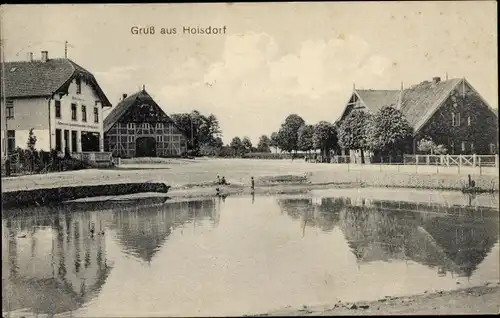 Ak Hoisdorf in Schleswig Holstein, Gastwirtschaft, Wasserpartie