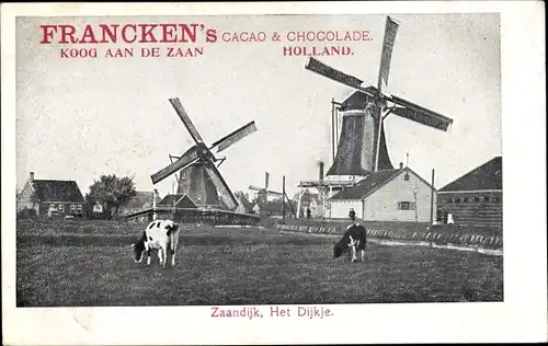 Ak Zaandijk Nordholland, Het Dijkje, Windmühlen, Rinder, Reklame, Francken's Cacao