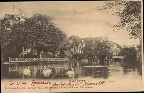 Ak Buxtehude in Niedersachsen, Flusspartie mit Schwänen