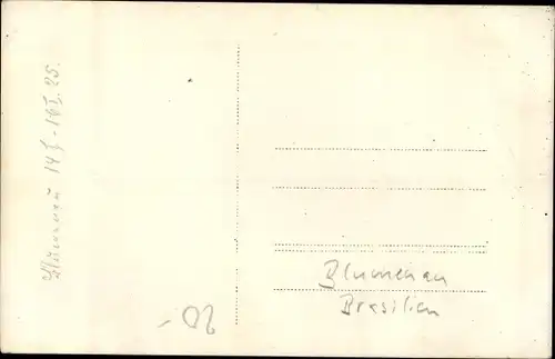 Foto Ak Blumenau Brasilien, Straßenpartie, Kutsche, Kinder