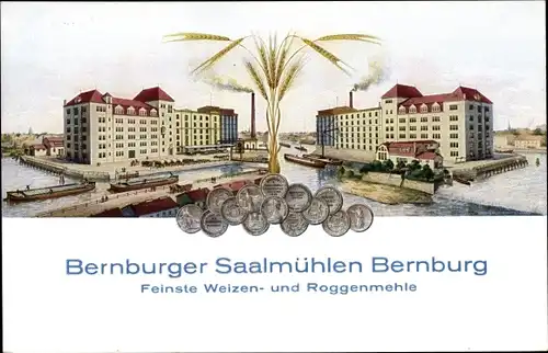 Ak Bernburg an der Saale, Bernburger Saalmühlen