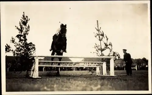 Foto Ak Pferd springt über eine Hürde, Springreiten