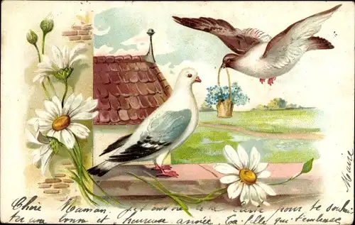 Präge Litho Tauben, Margeriten, Vergissmeinnicht