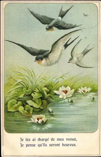 Präge Ak Schwalben fliegen über einen Teich, Seerosen