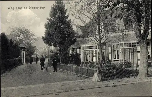 Ak Gelderland Niederlande, Straße zum Diepesteeg