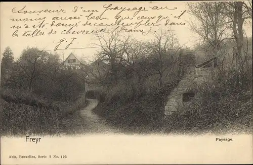 Ak Freyr Hastière Wallonien Namur, Paysage