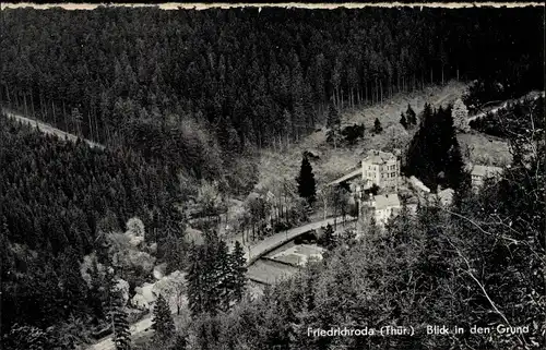 Ak Friedrichroda im Thüringer Wald, Blick in den Grund