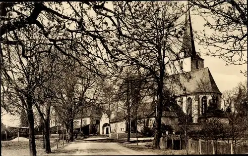 Ak Schleiz im Vogtland Thüringen, Bergkirche, Allee