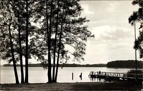 Ak Pieskow Bad Saarow in der Mark, Schwanenwiese, Steg