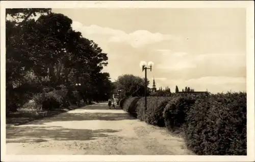 Ak Ostseebad Heringsdorf auf Usedom, Promenade