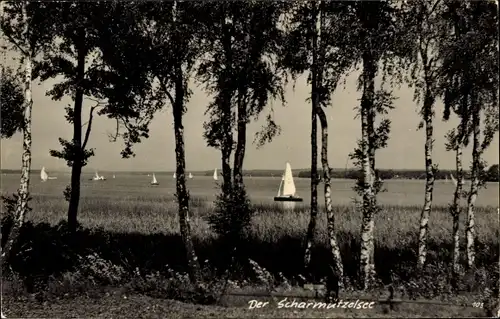 Ak Bad Saarow in der Mark, Scharmützelsee, Segelboote