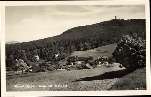 Ak Hain Oybin in der Oberlausitz, Hochwald, Zittauer Gebirge