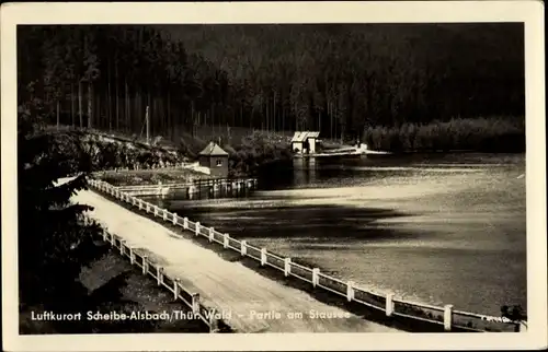 Ak Scheibe Alsbach Neuhaus am Rennweg Thüringen, Stausee