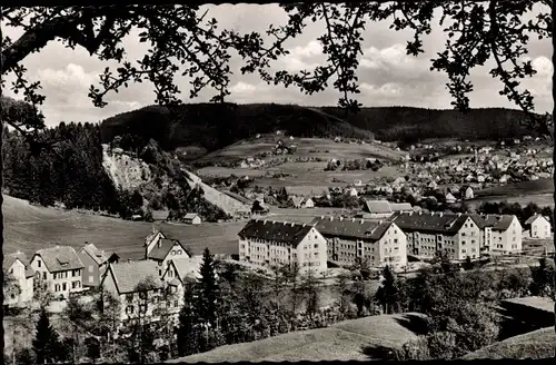 Ak Baiersbronn im Schwarzwald, Siedlung, Ortsansicht