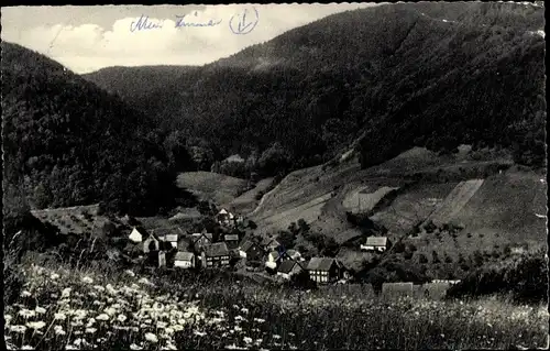 Ak Wieda Walkenried Harz, Kastental, Panorama