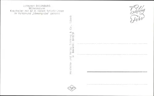 Ak Dillenburg in Hessen, Wilhelmsturm, Krautkeller, Schlossbrunnen, Löwengrube