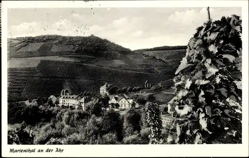 Ak Marienthal Bad Neuenahr Ahrweiler, Weinlage Trotzenberg