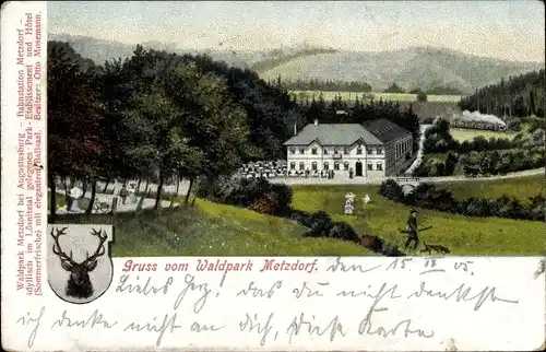 Litho Metzdorf Leubsdorf in Sachsen, Waldpark, Hirschwappen, Lok