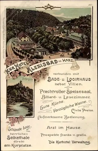 Litho Alexisbad Harzgerode am Harz, Bade und Logierhaus, Kurhotel, Blick auf den Ort