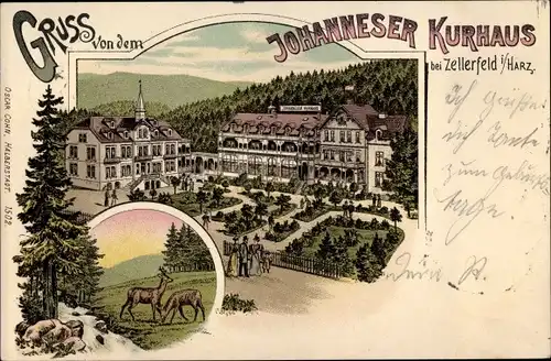 Litho Clausthal Zellerfeld im Oberharz, Johanneser Kurhaus, Rehe