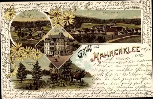 Litho Hahnenklee Bockswiese Goslar im Harz, Villa Helene, Kuttelbacher Teich, Hirsch