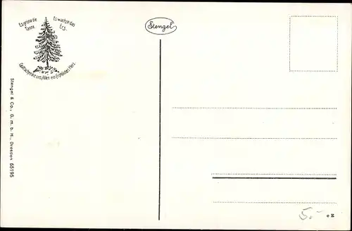 Ak Wildemann Clausthal Zellerfeld im Oberharz, Panorama, Sonnenglanz
