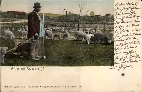 Ak Seesen in Niedersachsen, Hirt hütet Schafe